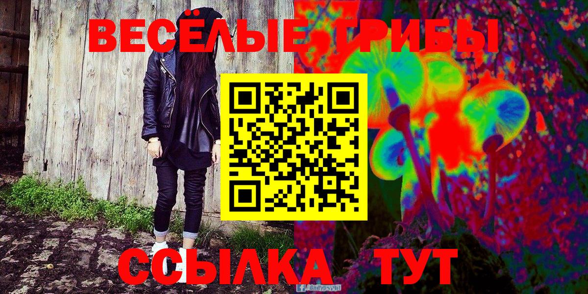 Галлюциногенные грибы Cubensis Корсаков