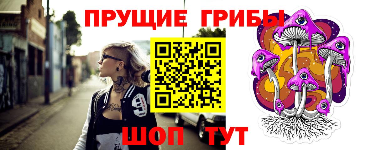 Псилоцибиновые грибы мицелий  закладки  Псилоцибиновые грибы Cubensis  Корсаков  Вход с VPN 