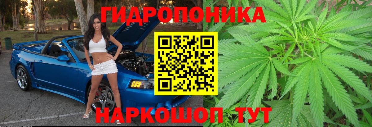 Каннабис ГИДРОПОН Корсаков